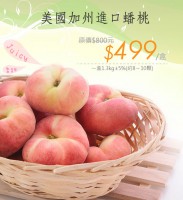 /album/%e7%b6%b2%e8%b7%af%e7%9b%b8%e7%b0%bf/b07-k1645-00-jpg/