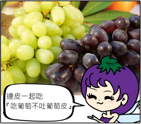 團購MENU_繪圖